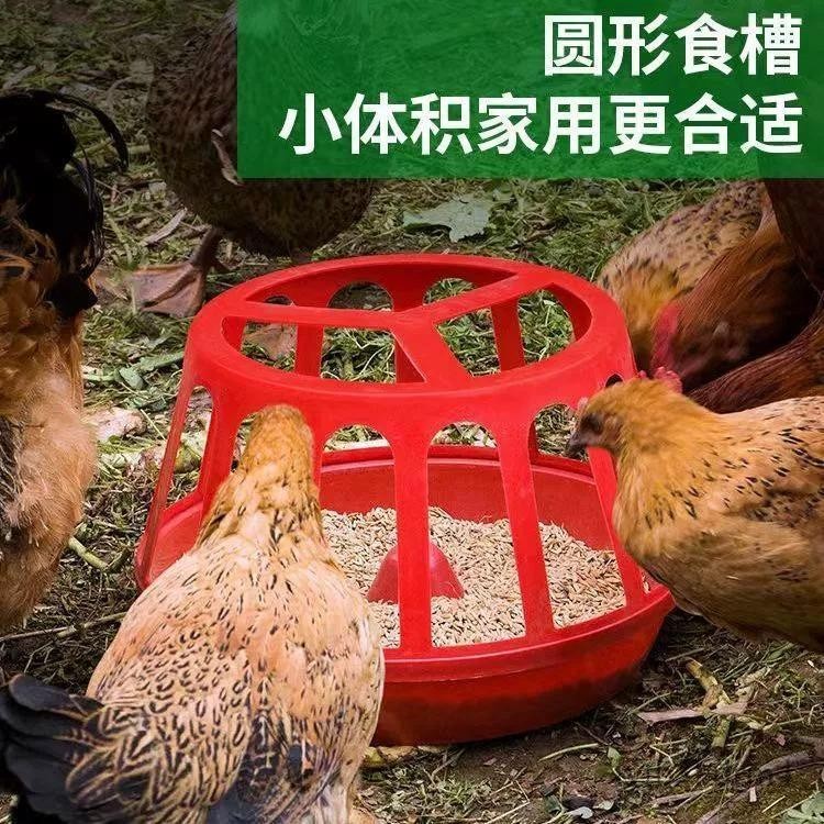 【✨現貨 宅配到府🚛】寵物食槽 雞食槽 料槽 防撒 家用餵養 設備 鴨 鵝 餵雞神器 飼料桶 自動餵食 雞飼料盆
