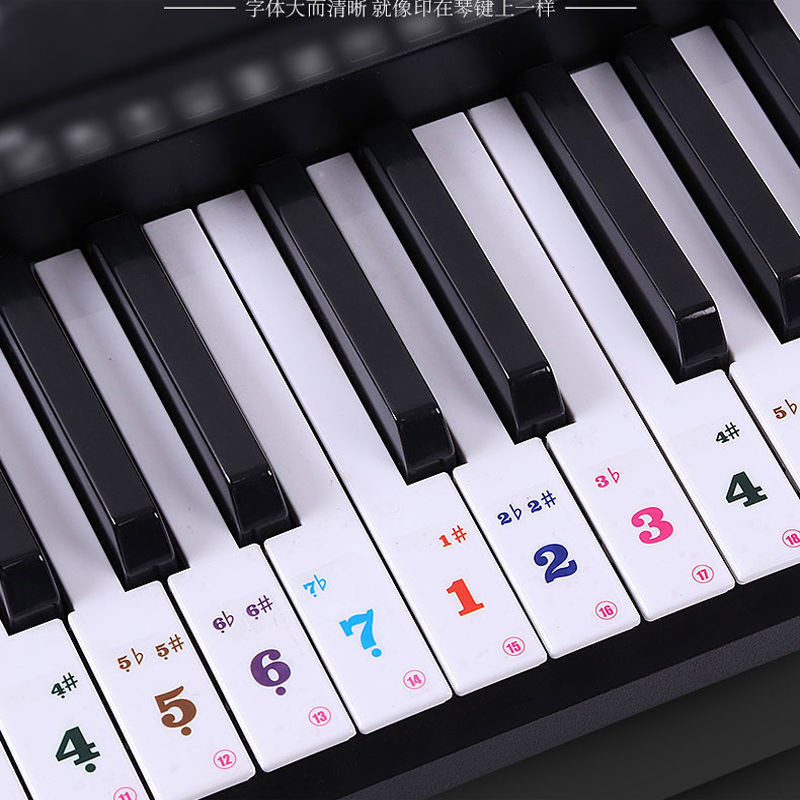‹鋼琴貼紙›現貨 透明彩色簡譜61鍵電子琴鍵盤 貼紙   琴鍵貼  54/49鍵電子琴數字  音標貼
