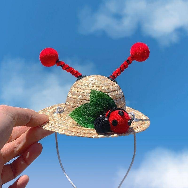 【安媛精選】網紅寵物草帽太陽帽裝飾中小型幼犬泰迪貓狗蜜蜂卡通帽子迷你帽子