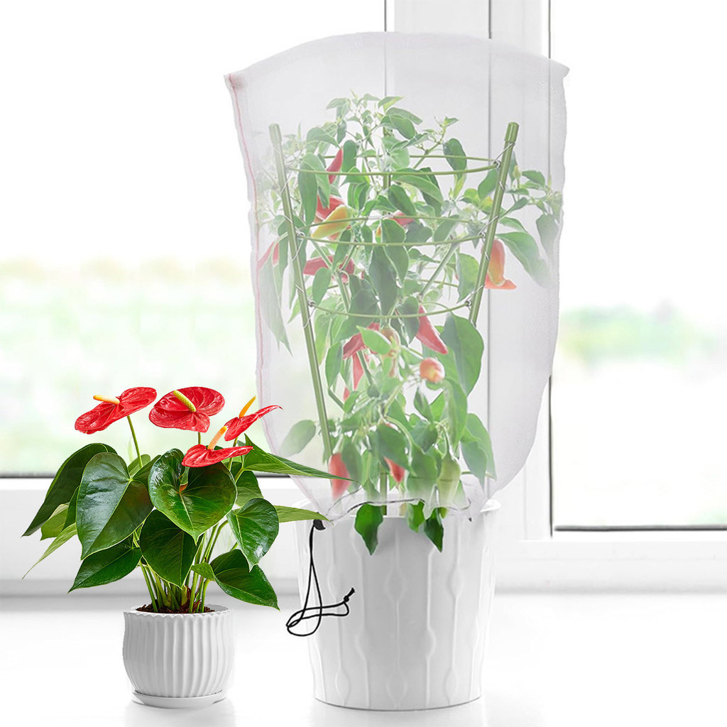 (FR) 3 件裝植物支撐番茄籠帶抽繩 3 層 18 英寸植物覆蓋物重型塑料番茄籠支撐架,用於花園盆栽攀緣植物