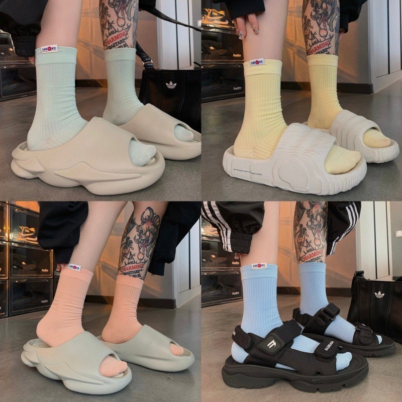 柳惠珠襪子 韓國彩色布標襪子男女堆堆襪素色馬卡龍直條中筒襪薄款透氣純棉襪