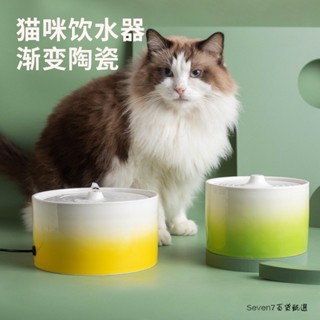 ✨臺灣發貨✨貓咪電動陶瓷加熱飲水機 自動飲水器 狗狗喝水 迴圈寵物碗 活水飲水機