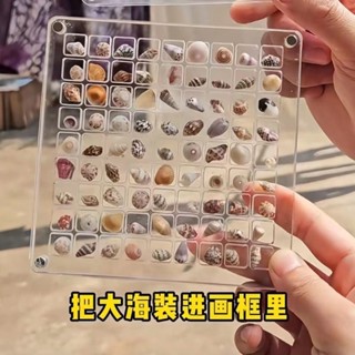 貝殼收納盒亞克力正方形透明海邊微型石頭標本展示迷你貝殼收納框貝殼收納 擺件