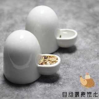 陶瓷小寵物自動飲水器倉鼠靜音飲水器餵食喂水器非洲迷你刺蝟水壺