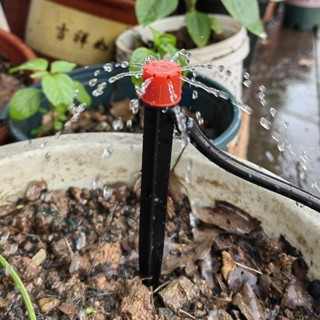 【臺灣出貨】滿199出貨 八孔地插滴頭 陽臺花園澆花神器 果園果樹短地插微噴頭 360度噴灑