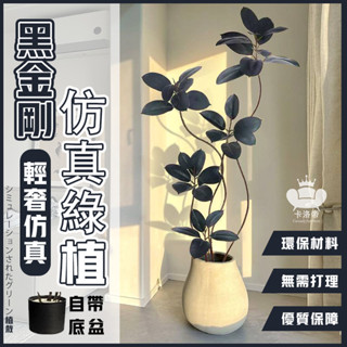 【黑金剛模擬綠植 宅配免運】客廳綠植 高階落地擺件 室內仿生盆栽 橡皮樹假植物 綠植裝飾物 客廳裝飾物 FFH63