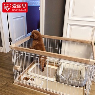 愛麗絲狗籠愛麗絲狗籠子中小型犬柴犬鬥牛犬寵物狗窩小型狗籠愛麗絲狗籠中小型犬20250330