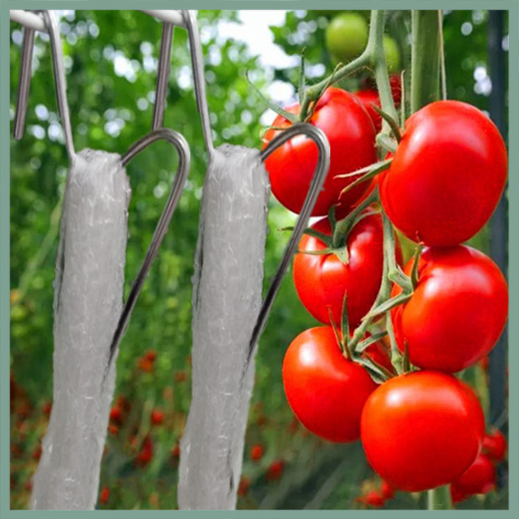 【wx】30 件番茄鉤植物支撐夾防銹耐腐蝕不易變形可重複使用攀爬植物番茄架掛鉤