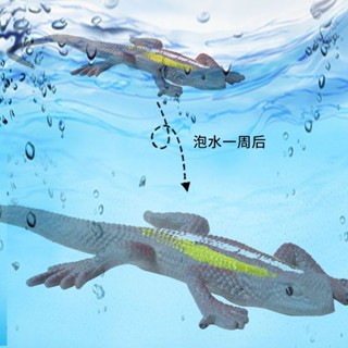 泡水變大蜥蜴動物膨脹玩具吸水生長模擬兒童泡大動物長大蜥蜴20250324