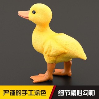 兒童模擬動物玩具模擬動物模型 鴨子小黃鴨家鴨禮品擺件20250324