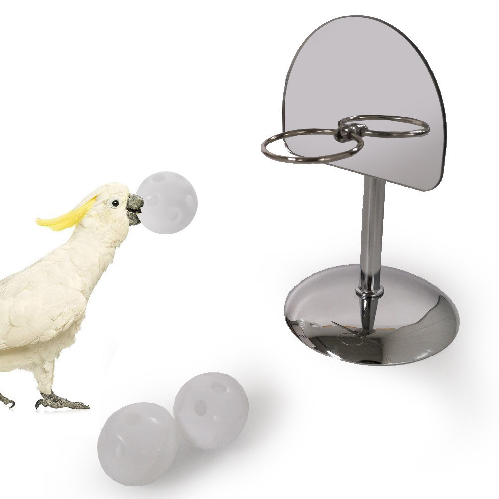 SK鸚鵡玩具用品道具鏡面投籃框金屬籃球架玄風和尚小太陽鳥訓練