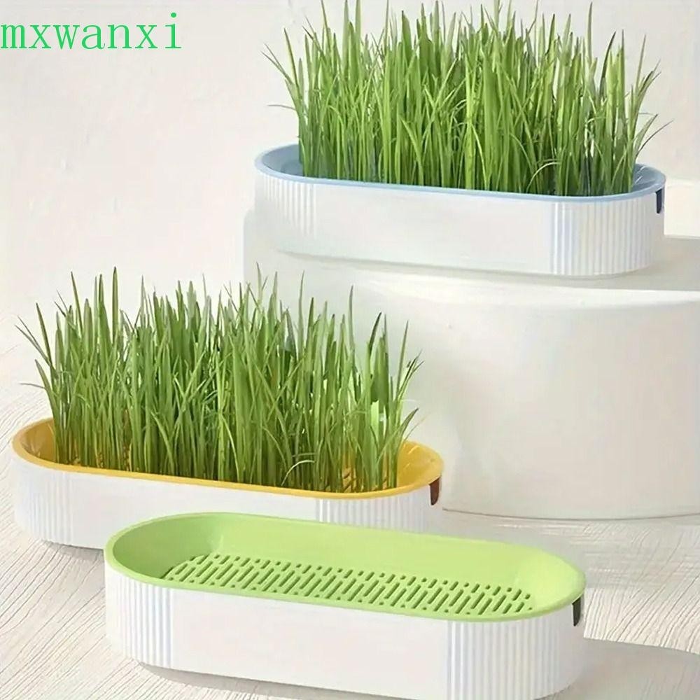 MXWANXI貓草種植箱,塑料透氣種植水培箱,水培草播種機人體工學可重複使用種子發芽托盤套裝植物