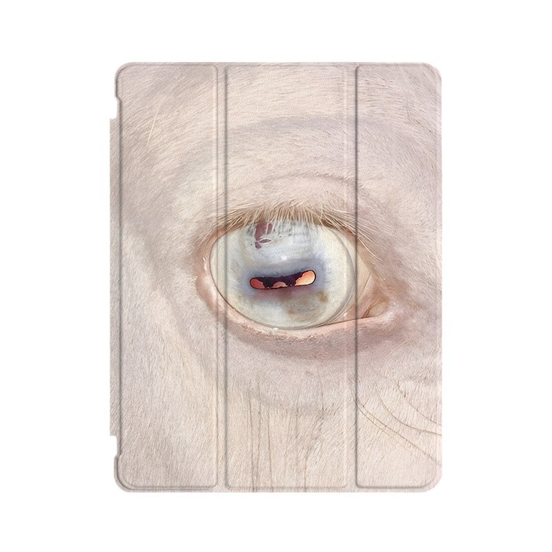神性眼睛Y2K藝術ins小眾適用平板殼iPad7/8/9/10殼2020帶筆槽Air2/3/4/5蘋果2021第九代11