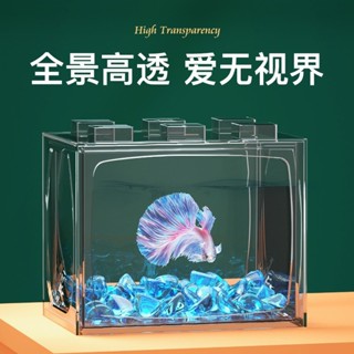 苔蘚生態瓶 迷你生態瓶 生態缸 積木魚缸迷你宿舍客廳辦公室桌面生態小型透明亞克力缸鬥魚盒批發
