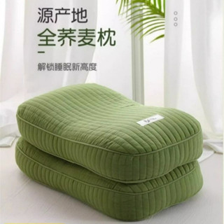 xgvaq |全蕎麥皮殻枕頭護頸椎助睡眠決明子枕芯硬整頭成人男護頸枕小高枕
