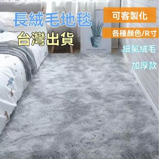 【臺灣出貨】北歐ins風地毯 加厚長毛地毯 毛絨大地墊 客廳臥室房間床邊毯 客廳床前地墊絨毛毯 絲毛地毯毛毯 臥室床邊毯