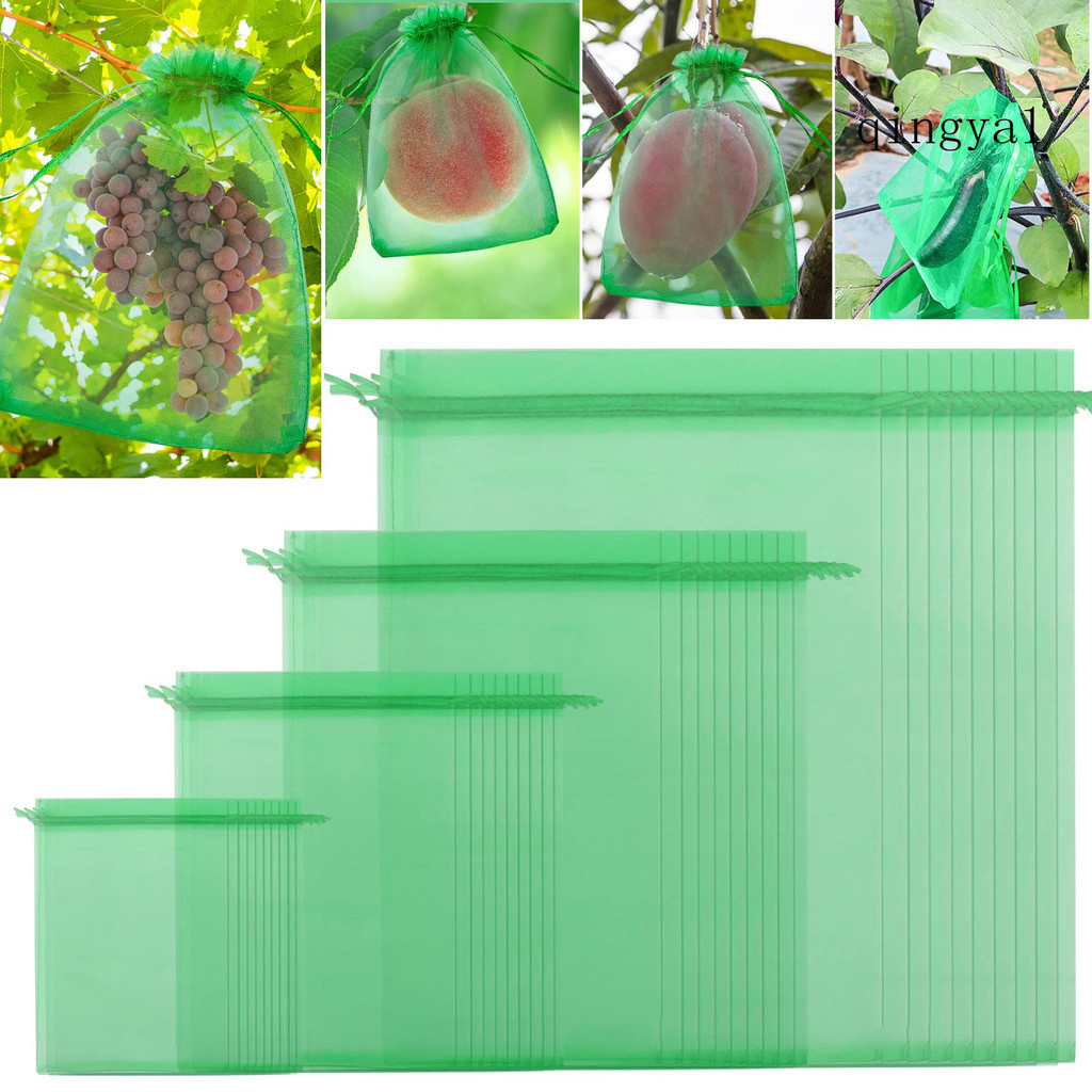 (園藝) 100 件裝水果保護袋抽繩設計果樹網袋防鳥水果網袋適用於家庭花園農場