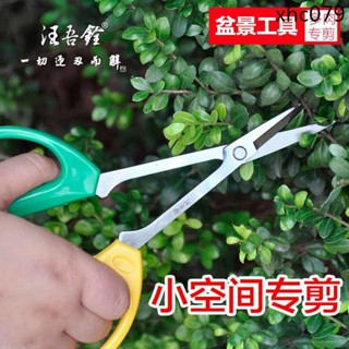 汪吾銓多肉修枝剪刀長柄園林園藝修花剪小枝葉芽剪子盆栽盆景工具