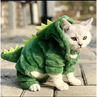 1 件裝寵物貓狗萬聖節狗衣服適合小狗有趣的恐龍角色扮演服裝冬季保暖貓外套抓絨連帽衫毛衣
