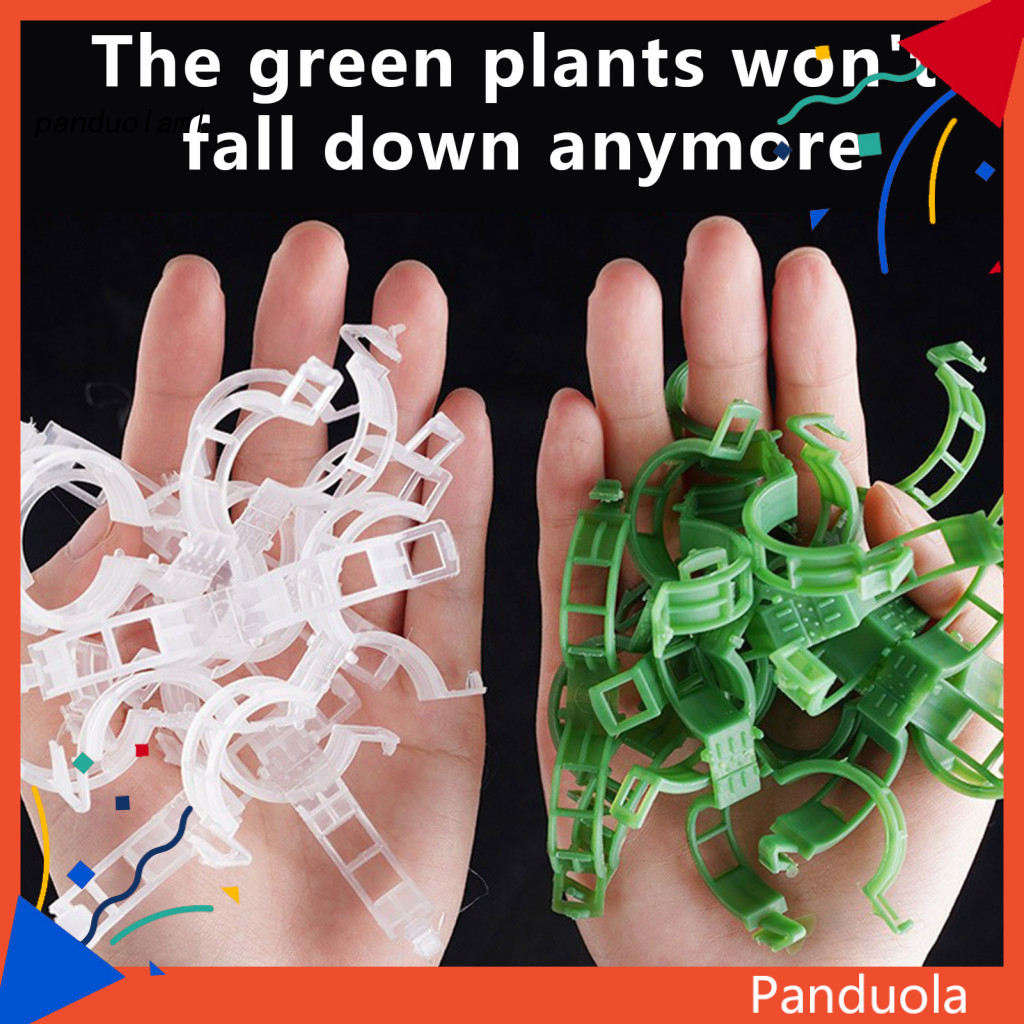 Pandu 番茄支架夾 Pp 塑料植物夾 100/200/300 件植物支撐夾易於使用的園藝工具,適用於胡椒茄子番茄藤蔓