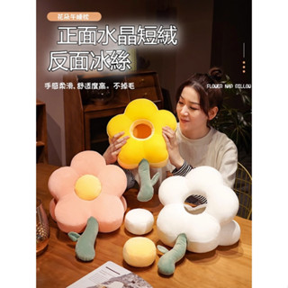 【臺灣出貨】花朵抱枕 被子兩用 辦公室靠墊腰靠午睡神器 暖手枕頭 汽車空調毯子二合一靠枕 午睡枕 交換禮物