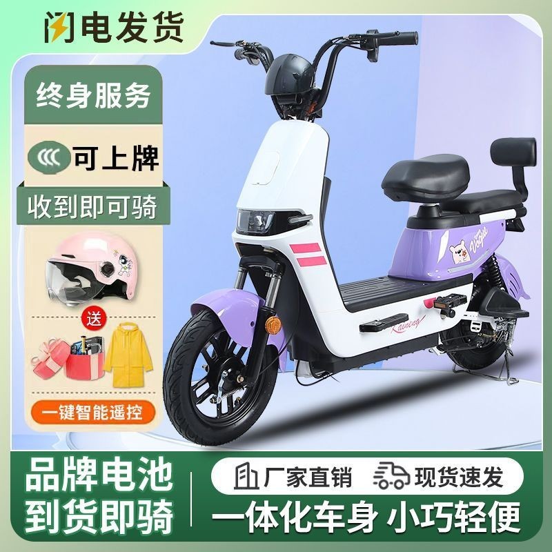 【臺灣專供】新款電動腳踏車新國標48V電瓶車代步鋰電女士成人小型兩輪車雙人