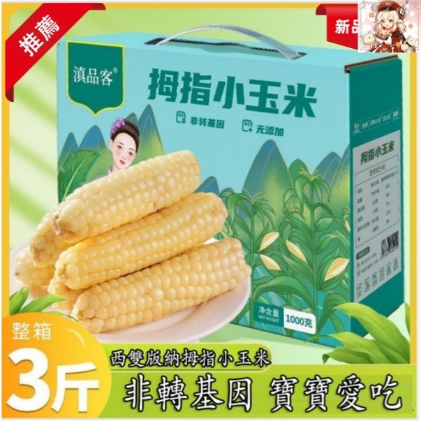 🔥熱銷中🔥精選好品  雲南西雙版納拇指玉米迷你糯玉米手指玉米寶寶香糯小玉米