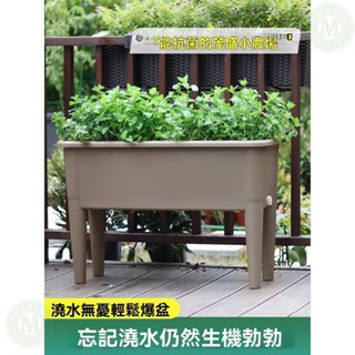 【下殺價】 陽臺種植箱 新款 種植盆高腳長方形花盆 種植箱 飼養箱 蔬菜種植箱 特大種菜箱 長方形花盆