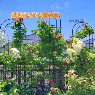 附發票🌷爬藤支架 玫瑰 園藝爬藤架 花架 月季戶外鐵藝花園庭院柵欄花架 薔薇月季植物爬藤架 撐桿支架 爬架 陽臺