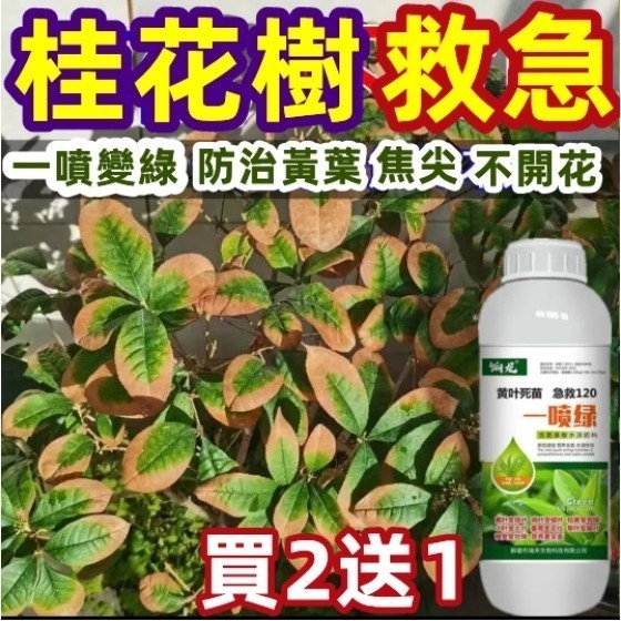 【^.^台灣發貨】一噴綠葉面肥 植物果蔬花卉通用 桂花專用肥營養液 促根壯苗 綠葉花艷 防治黃葉 促苗 促發芽