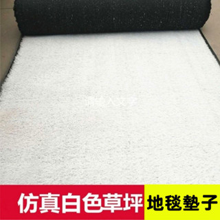 草坪 地毯 白色草坪 模擬草坪 人造草坪幼兒園草坪樓頂草坪戶外塑膠地毯墊子