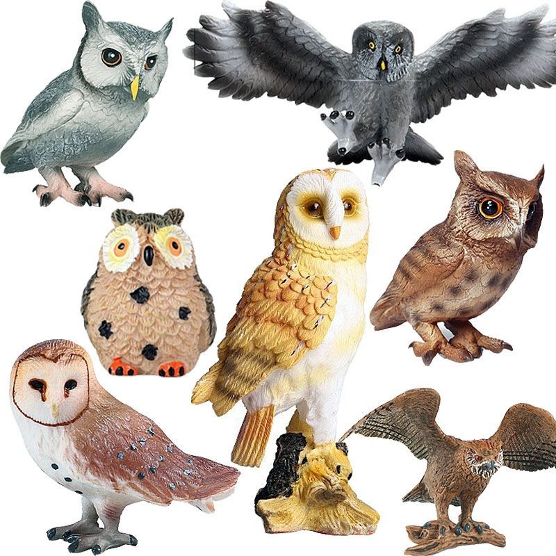 🍄仿真動物模型 兒童玩具 塑膠實心鳥類套裝 飛禽小鳥大貓頭鷹裝飾擺件