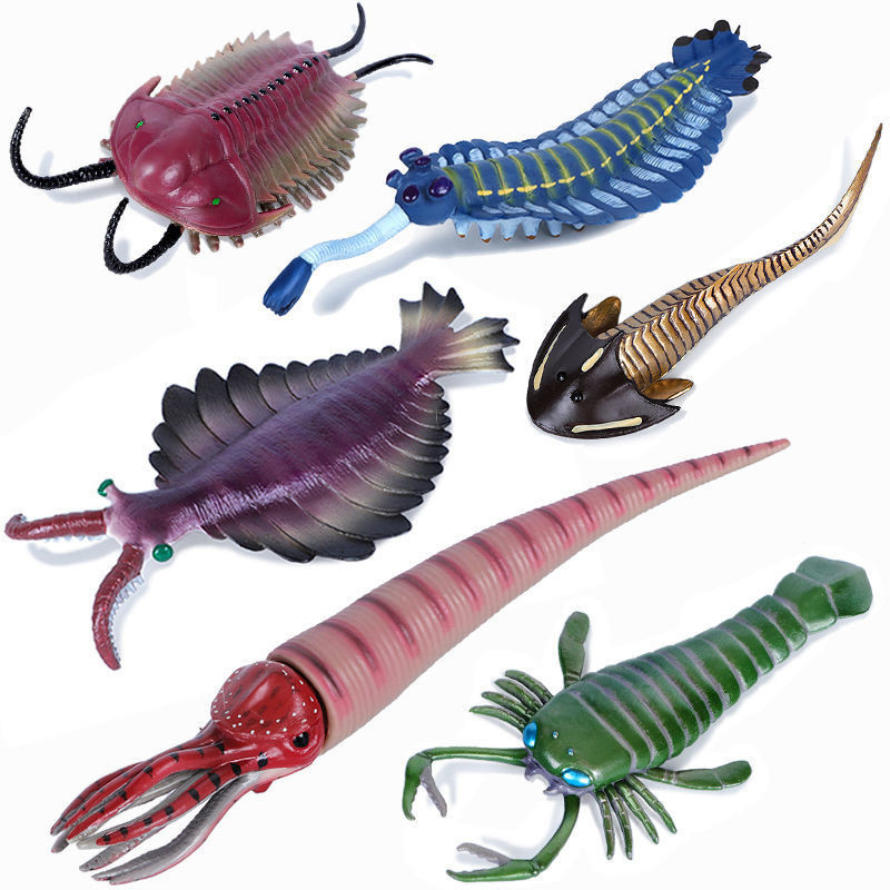 🍄遠古海洋動物模型三葉蟲玩具海蠍仿真史前生物鱟兒童奇蝦男孩禮物