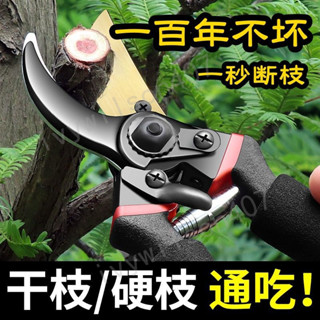臺灣【精選】出貨 園林家用SK5剪子粗枝專用剪防滑耐磨剪刀樹枝專用修枝剪園藝剪子.新品