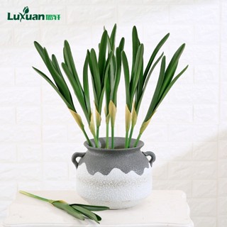 風信子模擬樹葉植物diy模擬材料花卉配件植物牆模擬樹葉