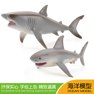 ★限時熱銷★模擬實心海洋生物大白鯊魚模型野生動物巨齒鯊玩具擺件兒童禮物
