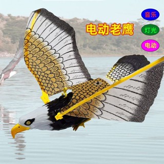 模擬電動飛鷹吊線會叫發光老鷹有聲音樂電動飛鳥兒童模擬動物玩具20250324