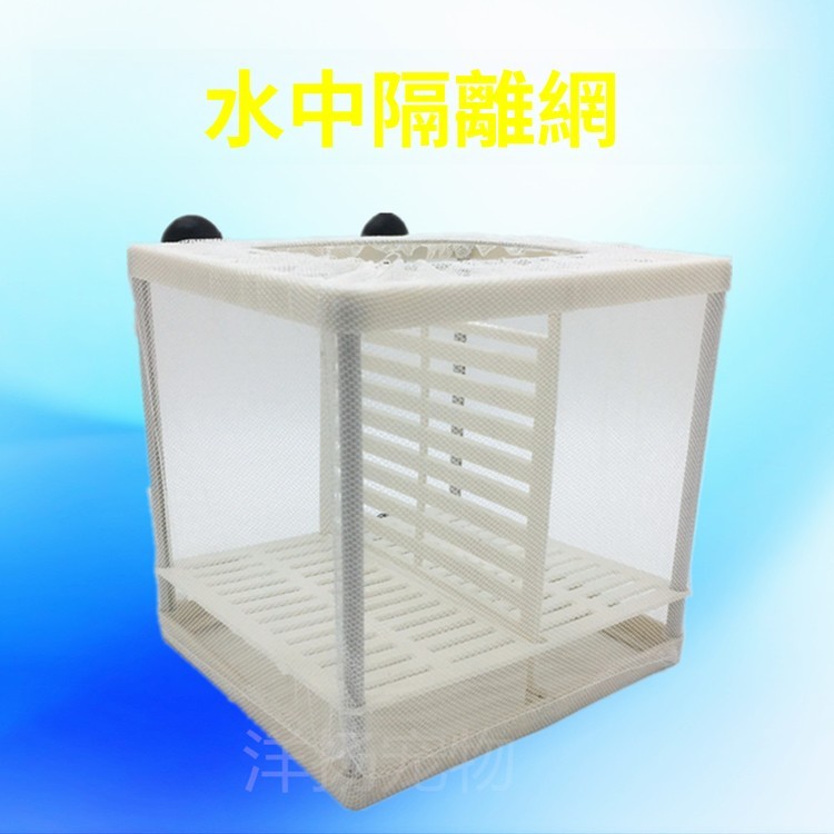 魚缸隔離網水族隔離盒熱帶魚孔雀魚鳳尾孵化繁殖盒帶隔板吸盤