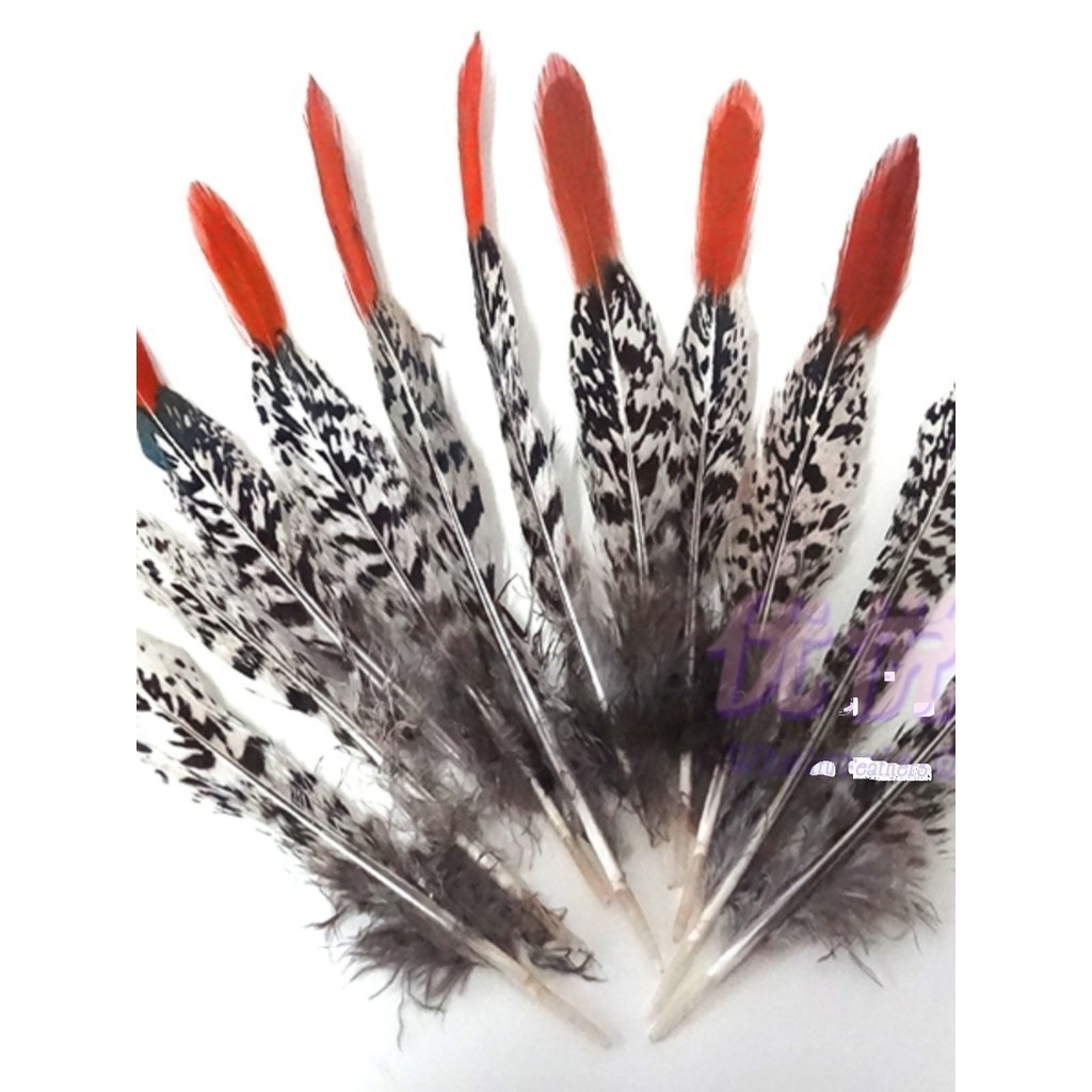 羽毛裝飾 DIY配件天然野雞毛 銅雞紅尖羽毛30-35釐米 羽毛配飾 印第安頭飾 DIY羽毛裝飾