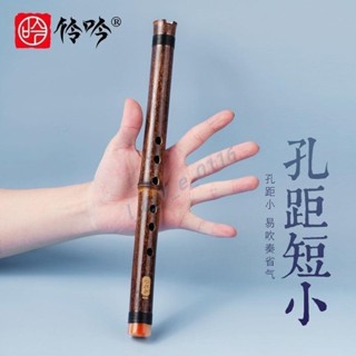 初學入門紫竹短簫 6孔E調蕭樂器 洞簫迷你瀟學生便攜古風 入門紫竹短簫 洞簫 0116