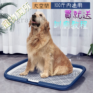 狗便盆 狗尿盆 寵物尿盆 寵物尿墊 寵物尿盆 狗狗尿盆 寵物尿盤 狗用品 防濺狗廁所 寵物用品 寵物便盆 寵物訓練