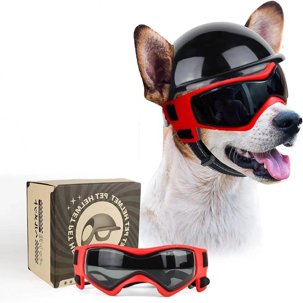 Atuban 狗太陽鏡寵物頭盔套裝帶狗護目鏡、防塵風防紫外線狗眼鏡狗頭盔和護目鏡狗摩托車頭盔