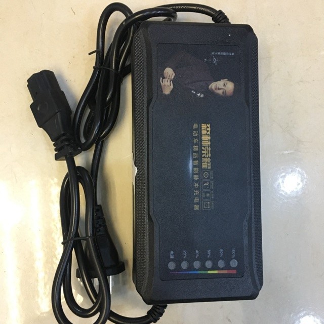 48v20ah lfo7 電動車充電器 YMRP