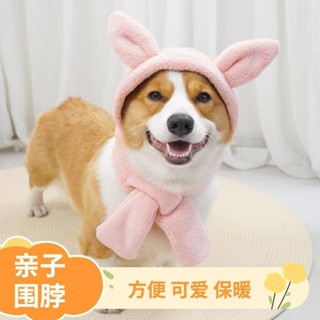 免運✨狗狗衣服 寵物衣服 寵它可愛寵物圍脖保暖冬季貓咪狗狗連帽圍巾珊瑚絨寵物親子裝潢