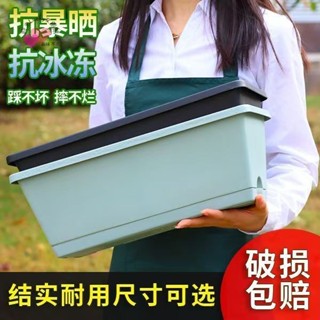 居家百貨限時下殺時光文創好物推薦霍倫種菜盆長方形花盆種菜專用盆種菜盆特大號室內蔬菜長條花盆