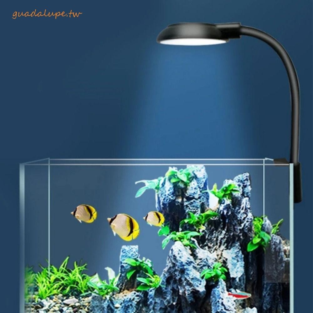 GUADALUPE魚缸夾式燈,白色和藍色的燈光360度旋轉卡箍水族燈,卡箍USB插頭高品質水族館用品