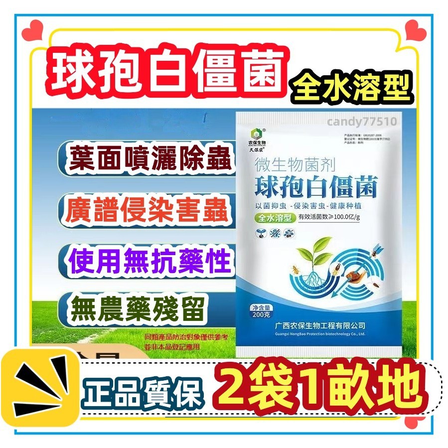 白殭菌的價格推薦 - 2024年5月| 比價比個夠BigGo