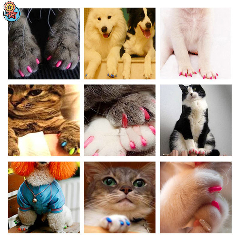 軟塑料貓爪套彩色貓爪套寵物貓護套專業寵物指甲套歐優