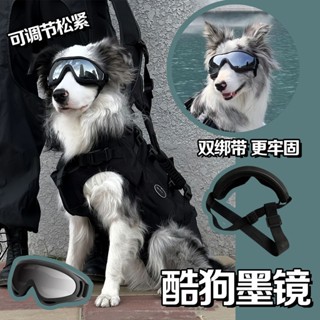 【免運🚚】狗狗眼鏡寵物專用墨鏡護目鏡柯基邊金毛防風太陽鏡戶外防風沙