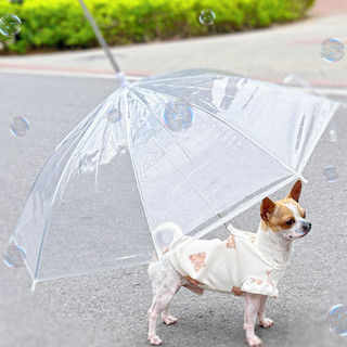 【SweetPet甜寵】寵物雨傘 狗狗雨傘 貓貓雨傘 下雨遛狗神器 柯基雨衣 狗用雨傘 透明泰迪 中小型犬【045】